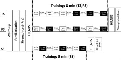 Comparison of the effects of three different resistance training methods on muscle fatigue in healthy untrained men